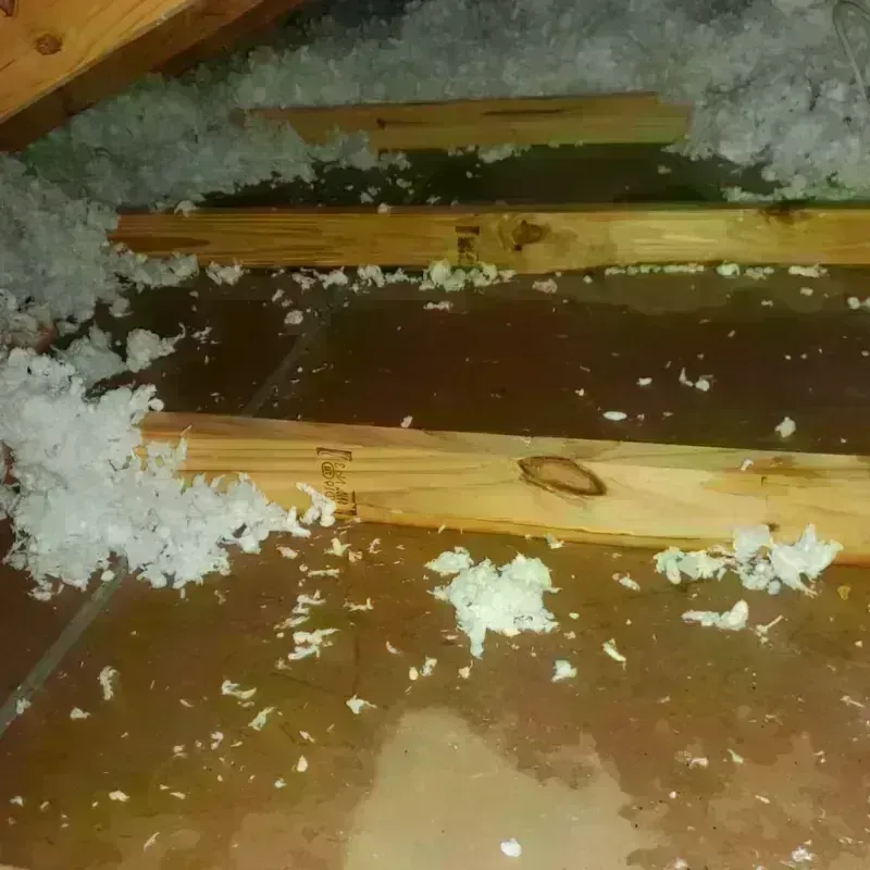 Attic Water Damage in Playita Cortada, PR